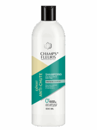 SHAMPOO EXPERT ANTI- CHUTE 500 ML
